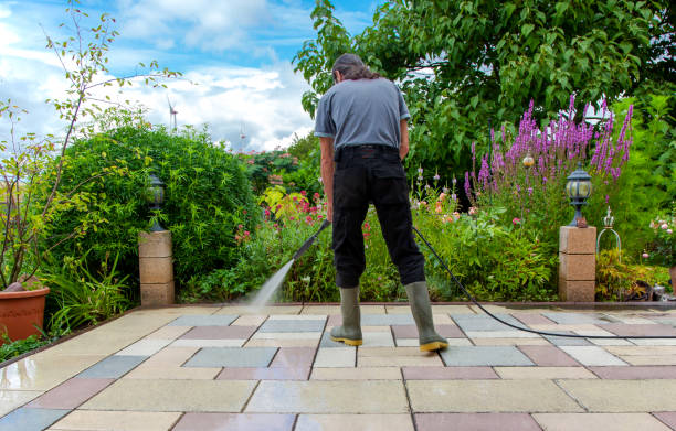 Best Sidewalk and Walkway Cleaning  in Rockwall, TX